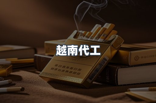 越南代工